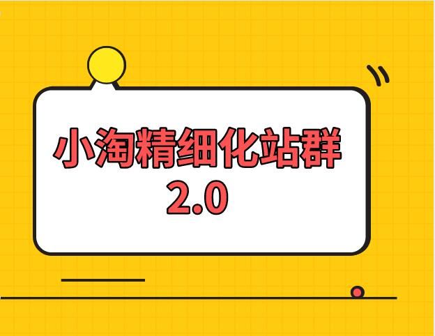 小淘学社：实操精细化网站站群项目【全套视频教程】-阿灿说钱