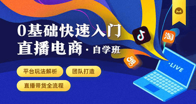 0基础快速入门直播电商课程：直播平台玩法解析-团队打造-带货全流程等环节-阿灿说钱