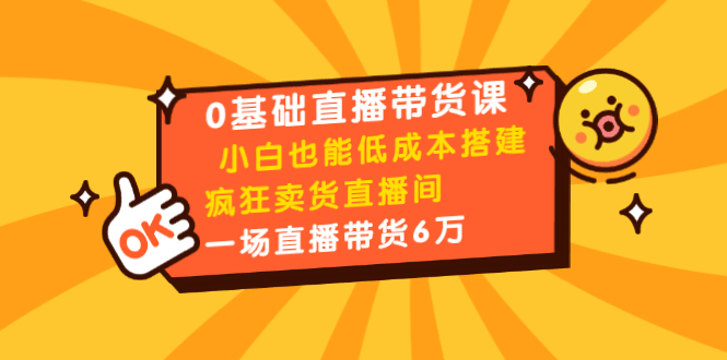 0基础直播带货课：小白也能低成本搭建疯狂卖货直播间：1场直播带货6万-阿灿说钱