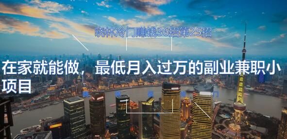 晓林冷门赚钱36招第25招在家就能做，最低月入过万的副业兼职小项目【视频课程】-阿灿说钱