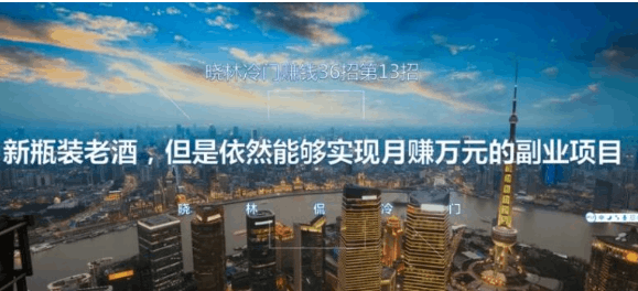 晓林冷门赚钱36招第13招新瓶装老酒，但是依然能够实现月赚万元的副业项目【视频课程】-阿灿说钱