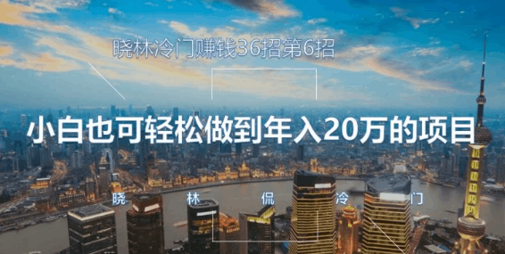 晓林冷门赚钱36招第6招小白也可轻松做到年入20万的项目【视频课程】-阿灿说钱