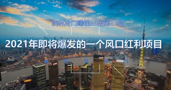 晓林冷门赚钱36招第27招2021年即将爆发的一个风口红利项目【视频课程】-阿灿说钱