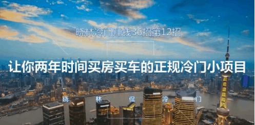 晓林冷门赚钱36招第12招让你两年时间买车买房的的正规冷门小项目【视频课程】-阿灿说钱