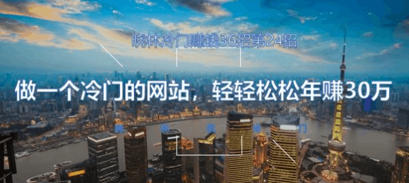 晓林冷门赚钱36招第24招做一个冷门网站，轻轻松松年赚30万【视频课程】-阿灿说钱