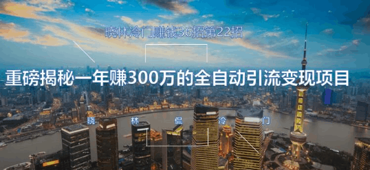 晓林冷门赚钱36招第22招重磅揭秘一年赚300万的全自动引流变现项目【视频课程】-阿灿说钱