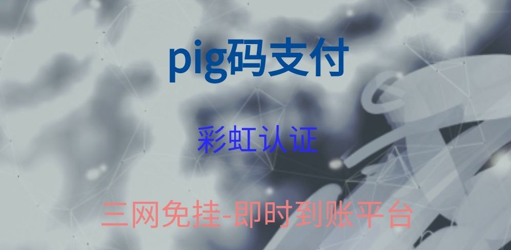 图片[1]-pig码支付-个人免签无需挂机~即时到账平台-阿灿说钱