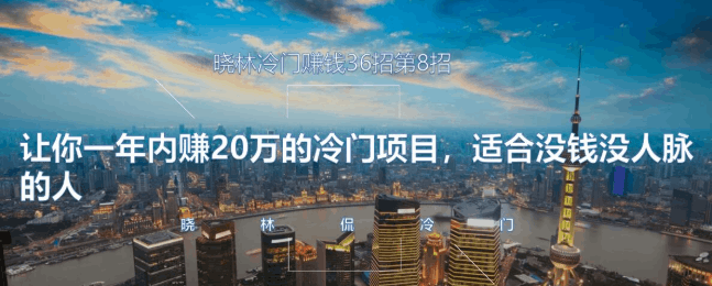 晓林冷门赚钱36招第8招年赚20万的冷门项目，适合没钱没人脉的人【视频课程】-阿灿说钱