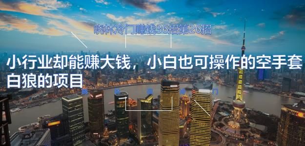 晓林冷门赚钱36招第26招小行业却能赚大钱，小白也可操作的空手套白狼的项目【视频课程】-阿灿说钱