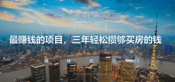 晓林冷门赚钱36招第7招最赚钱的项目，三年轻松攒够买房的钱【视频课程】-阿灿说钱