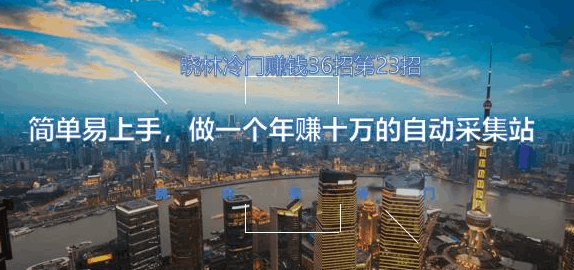 晓林冷门赚钱36招第23招简单易上手，做一个年赚十万的自动采集站【视频课程】-阿灿说钱