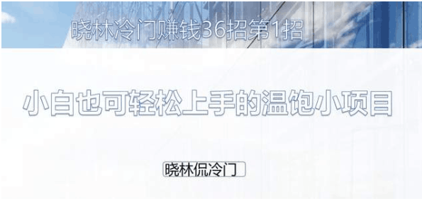 晓林冷门赚钱36招第1招：小白也可轻松上手的温饱小项目【视频课程】-阿灿说钱