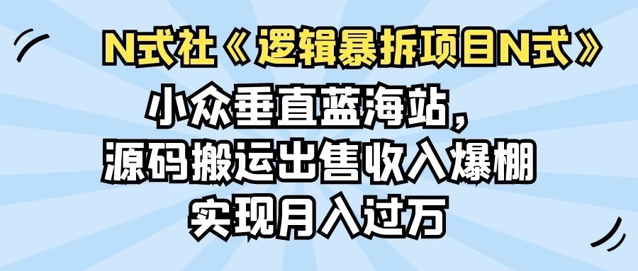 小众垂直蓝海站，源码搬运出售收入爆棚实现月入过万-阿灿说钱