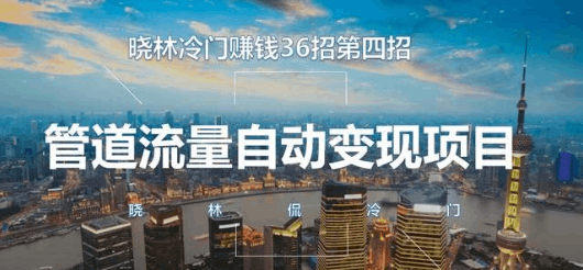 晓林冷门赚钱36招第5招低成本，大收益，安全正规的冷门项目【视频课程】-阿灿说钱