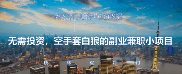 晓林冷门赚钱36招第9招无需投资，空手套白狼的副业兼职小项目【视频课程】-阿灿说钱