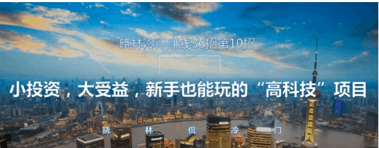 晓林冷门赚钱36招第10招小投资，大受益，新手也能玩的“高科技”项目【视频课程】-阿灿说钱