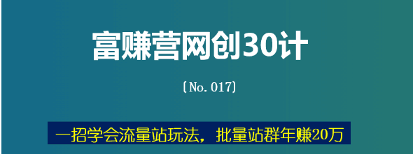 一招学会流量站玩法，批量站群年赚20万（富赚营网创30计017）-阿灿说钱