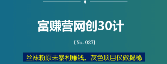 sw粉原w暴利赚钱，灰色项目仅做揭秘：富赚营网创30计027-阿灿说钱