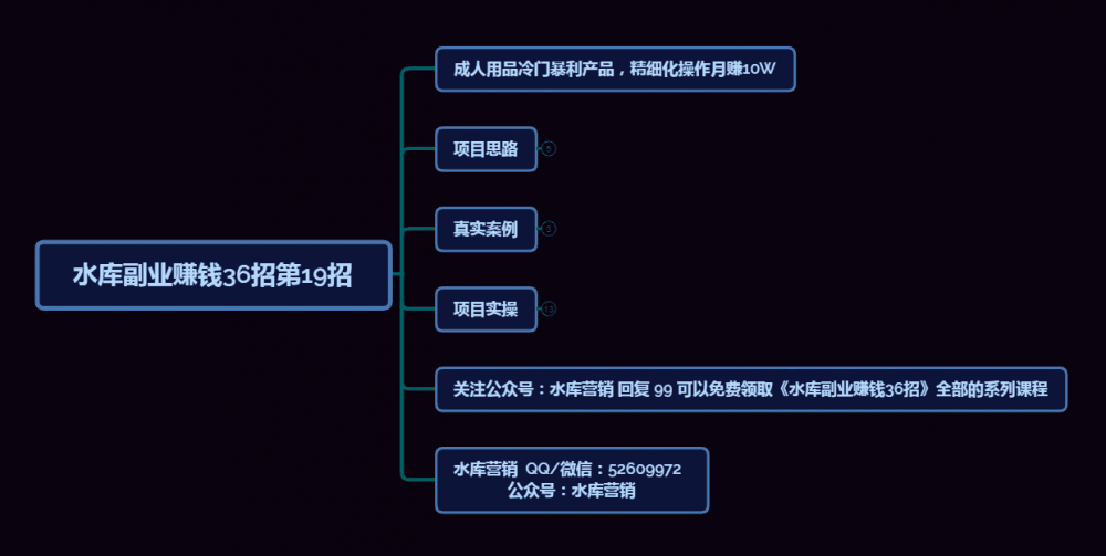 成人用品之冷门暴利产品，精细化操作月赚10W【水库副业赚钱36招第19招】-阿灿说钱