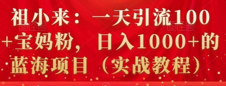 祖小来：一天引流100+宝妈粉，日入1000+的蓝海项目（实战教程）-阿灿说钱