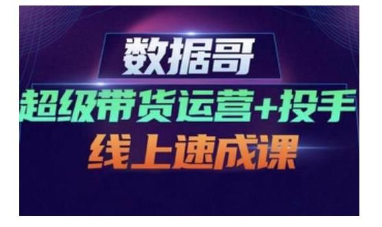 数据哥·超级带货运营+投手线上速成课，快速提升运营和熟悉学会投手技巧-阿灿说钱