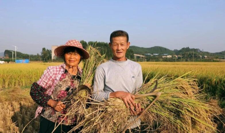 城市化的好处和坏处（城市化给中国带来了什么?）