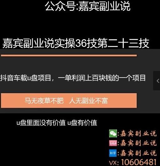 嘉宾副业说实操36技第二十三技：抖音车载u盘项目，一旦利润上百块的项目-阿灿说钱