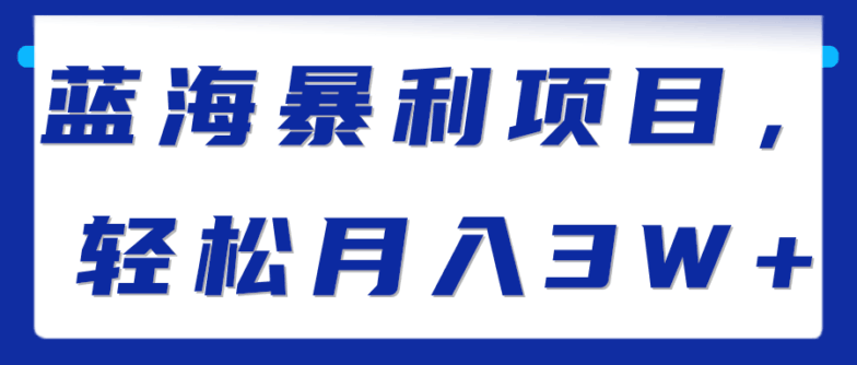 蓝海暴利项目，轻松月入3W+【视频教程】-阿灿说钱