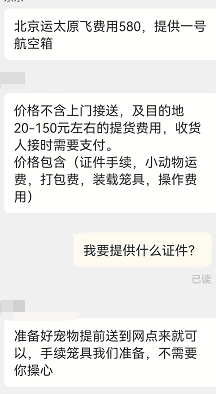 图片[2]-宠物托运一单流水600元，一月最少500单，这个项目真是赚钱！-阿灿说钱