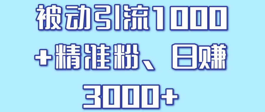 被动引流1000+精准粉，日赚3000+【视频教程】-阿灿说钱