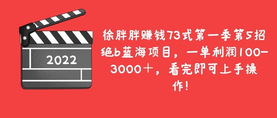 绝b蓝海项目，一单利润100-3000＋，看完即可上手操作！-阿灿说钱