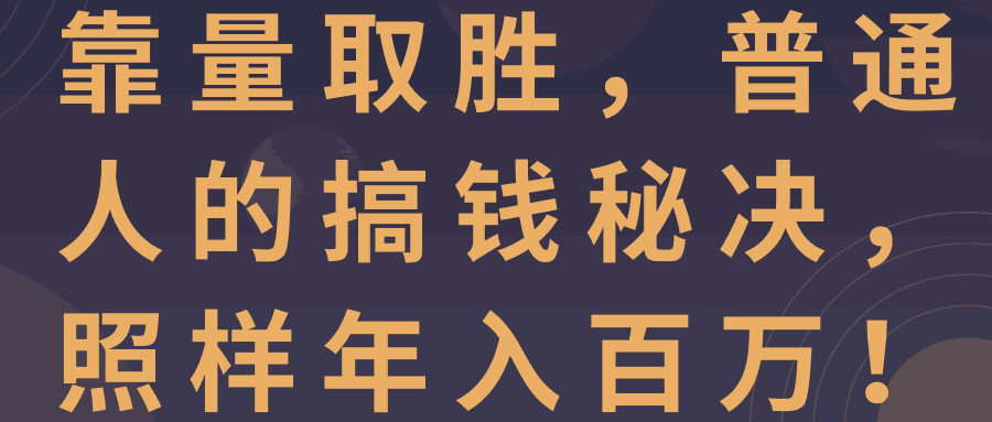 靠量取勝普通人的搞錢秘決照樣年入百萬視頻教程