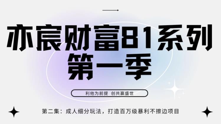 亦宸财富81系列第1季第2集：成人细分玩法，打造百万级暴利不擦边项目-阿灿说钱