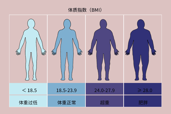 bmi指数男女标准（BMI男女之间有什么差异）