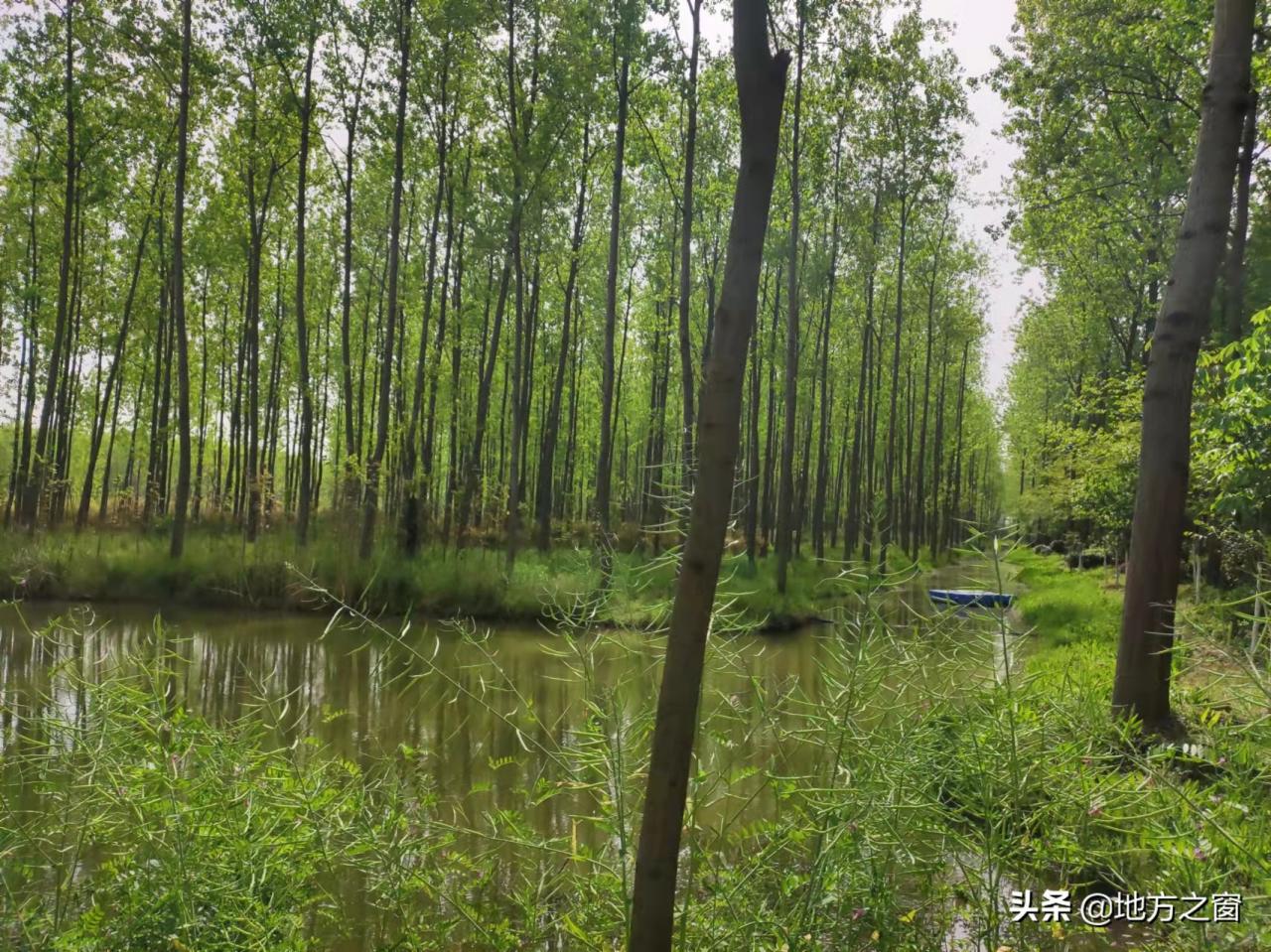 合肥好玩的地方和景区有哪些：如何不花冤枉钱？请记住这3个景点