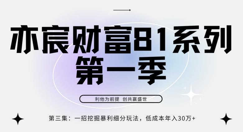 亦宸财富81系列第1季第3集：一招挖掘细分暴利玩法，低成本年入30w-阿灿说钱