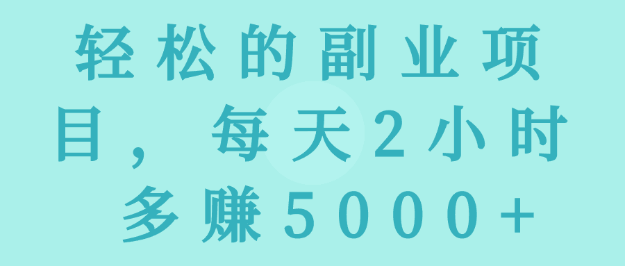 轻松的副业项目，每天2小时 多赚5000+【视频教程】-阿灿说钱