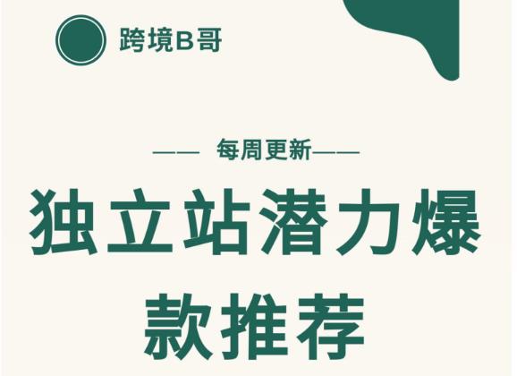 【跨境B哥】独立站潜力爆款选品推荐，测款出单率高达百分之80（每周更新）-阿灿说钱