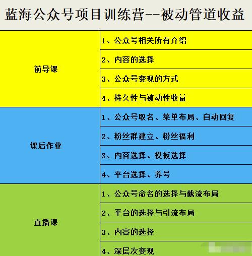 蓝海公众号项目赚钱训练营，手把手教你实操运营公众号和小程序变现-阿灿说钱