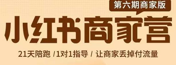 小红书商家营第6期商家版，21天带货陪跑课，让商家丢掉付流量-阿灿说钱