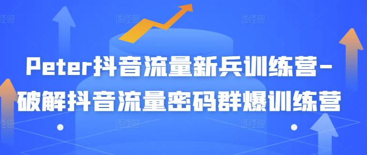 抖音流量新兵训练营-破解抖音流量密码群爆训练营（新兵）-阿灿说钱