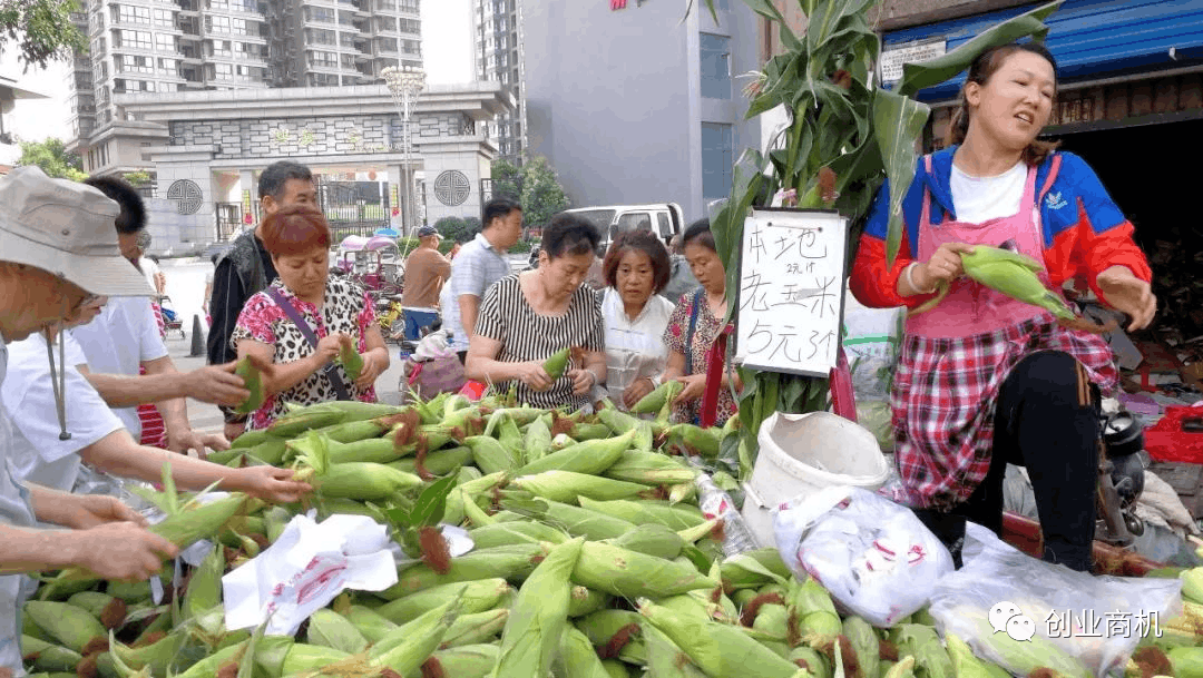 图片[3]-2000元起步投资，不起眼的小生意年入40万，两年买一套房！-阿灿说钱