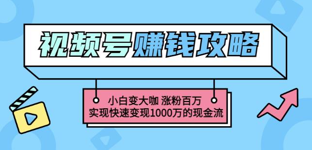 玩转微信视频号赚钱：小白变大咖涨粉百万实现快速变现1000万的现金流-阿灿说钱