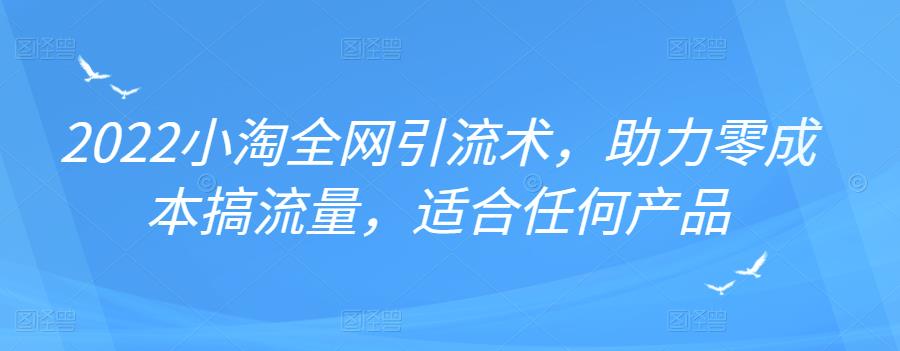 2022年小淘全网引流术，助力零成本搞流量，适合任何产品-阿灿说钱