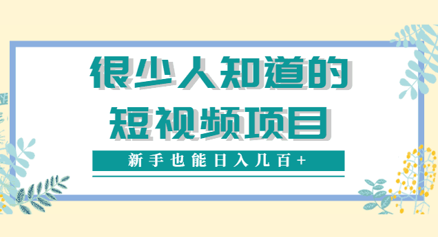 很少人知道的视频赚钱项目，新手能操作也能轻松日入几百+【视频教程】