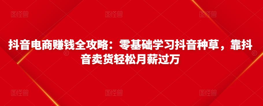 抖音电商赚钱全攻略：零基础学习抖音种草，靠抖音卖货轻松月薪过万-阿灿说钱