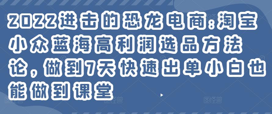 2022年淘宝小众蓝海高利润选品方法论，做到7天快速出单小白也能做到-阿灿说钱