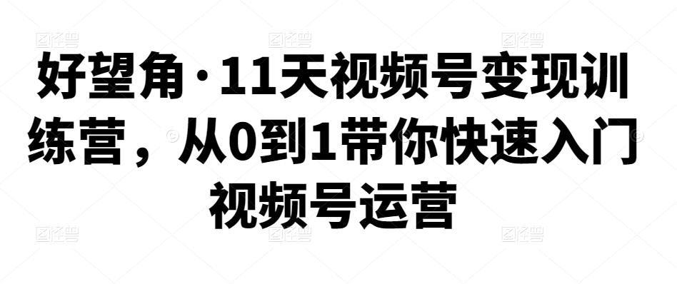 11天视频号变现训练营，从0到1带你快速入门视频号运营-阿灿说钱