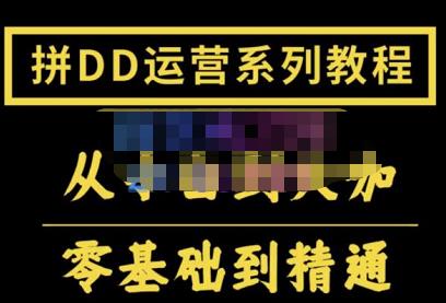 2022全套拼多多核心实操课程，从0-1轻松起链接实战，低投入高产出运作店铺-阿灿说钱