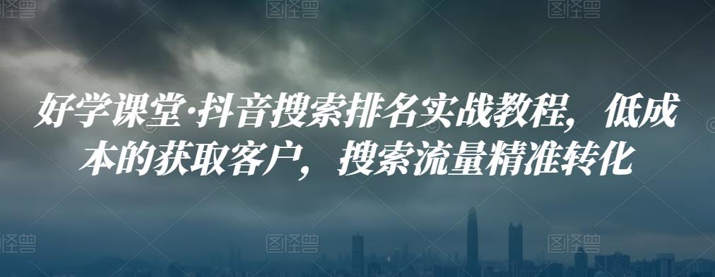 抖音搜索排名SEO实战教程，低成本的获取客户，搜索流量精准转化-阿灿说钱